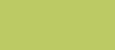 Perlé No.8 colore 907