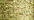 002 Gold (#8)