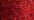 003 Red (BF)