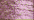 007 Pink (#4)
