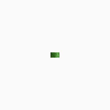008 Green (#4)