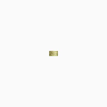 017HL White Gold Hi Lustre (#4)