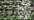 019 Pewter (eq. 105C) (BF)
