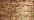 021 Copper (#4)