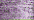 023 Lilac (BF)
