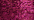 024 Fuchsia (#4)