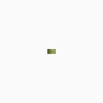 045 Confetti Gold (BF)