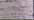 093 Star Mauve (BF)