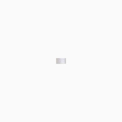 100 White (#8)