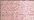 9200 Blossom (#8)