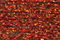 Treasure Petite: pb44 - Autumn Red