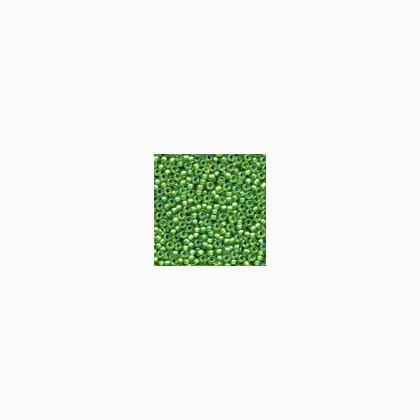 62049 Spring Green Inside Color Matte