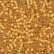 62044 Autumn  Inside Color Matte