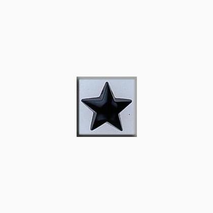 12129 Large Domed Star Black Onyx