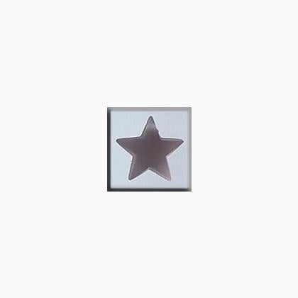 12049 Large Domed Star Matte Rosaline