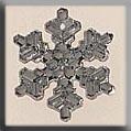 12037 Medium Snowflake Crystal Bright
