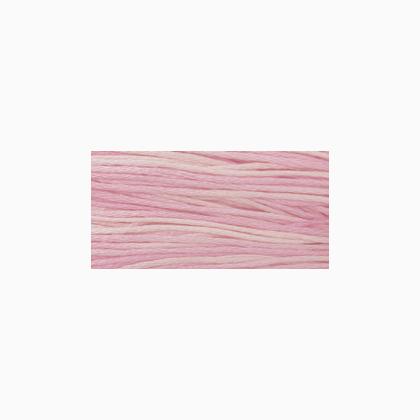 WDW 1138 Sophia\'s Pink