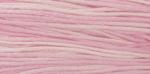 WDW 1138 Sophia's Pink