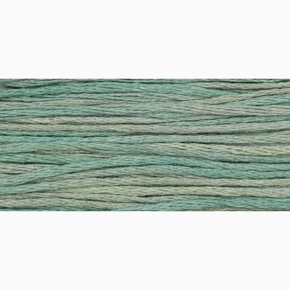 WDW 2116 Blue Fescue