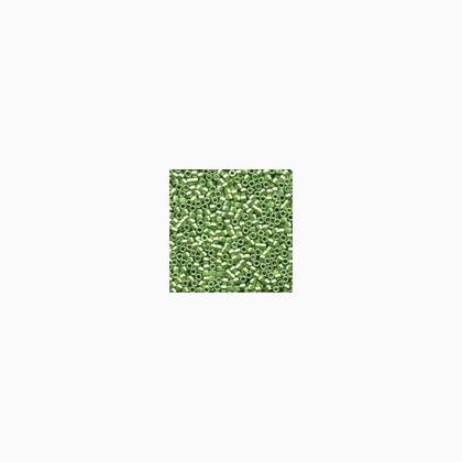 10029 BRILLIANT SAGE