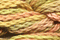 Caron Watercolours 059 - Apricot Blush