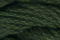 Caron Watercolours 083 - Pine Forest