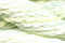 Caron Watercolours 167 - Lime Ice