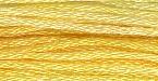 Sampler Threads: Apricot Blush