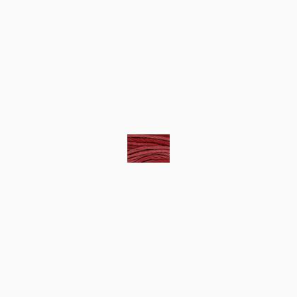 Sampler Threads: Holly Berry