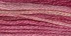 Sampler Threads: Poinsettia