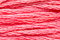 Sampler Threads: Poppy