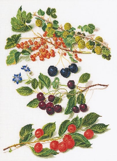 Frutta Antica 3°