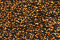 Treasure Petite: pb55 - Brass