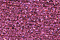Treasure Petite: pb64 - Rose