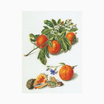 Frutta Antica 1°