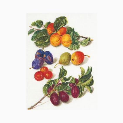 Frutta Antica 2°