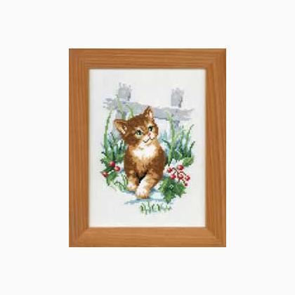 Gatto