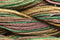 Caron Wildflowers 009 - Grand Canyon