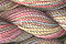 Caron Wildflowers 020 - Autumn Leaves