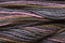 Caron Wildflowers 022 - Smoke
