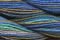 Caron Wildflowers 024 - Twilight