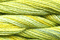 Caron Wildflowers 027 - Lemon N Lime