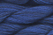 Caron Wildflowers 041 - Blueberry