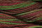 Caron Wildflowers 047 - Camouflage