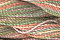Caron Wildflowers 061 - Harvest
