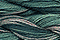 Caron Wildflowers 091 - Blue Spruce