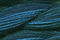 Caron Wildflowers 160 - Night Sky