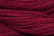 Caron Wildflowers 164 - Cinnabar