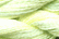 Caron Wildflowers 167 - Lime Ice