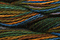 Caron Wildflowers 168 - Rainforest